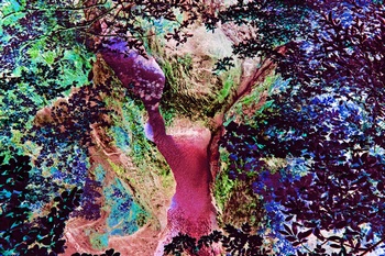 N 138C